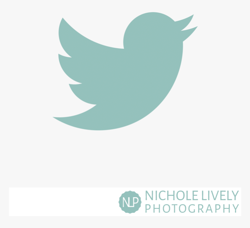 Follow Me On Twitter Png, Transparent Png