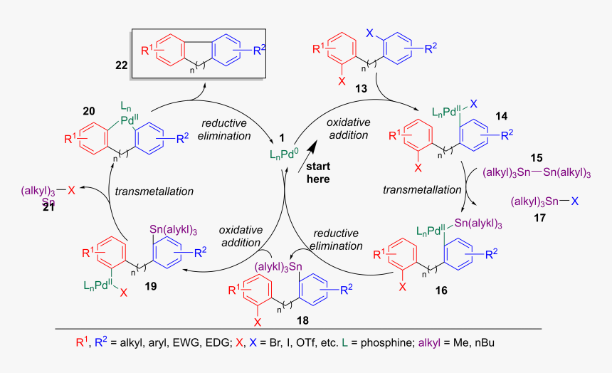 Stille-kelly Coupling, HD Png Download