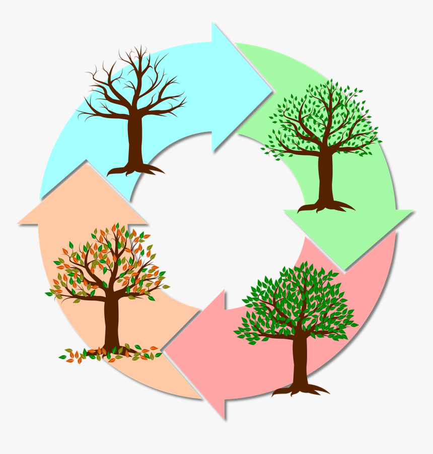 Seasons Png, Transparent Png , Transparent Png Image - PNGitem