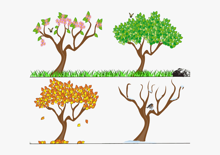 4 Seasons, HD Png Download