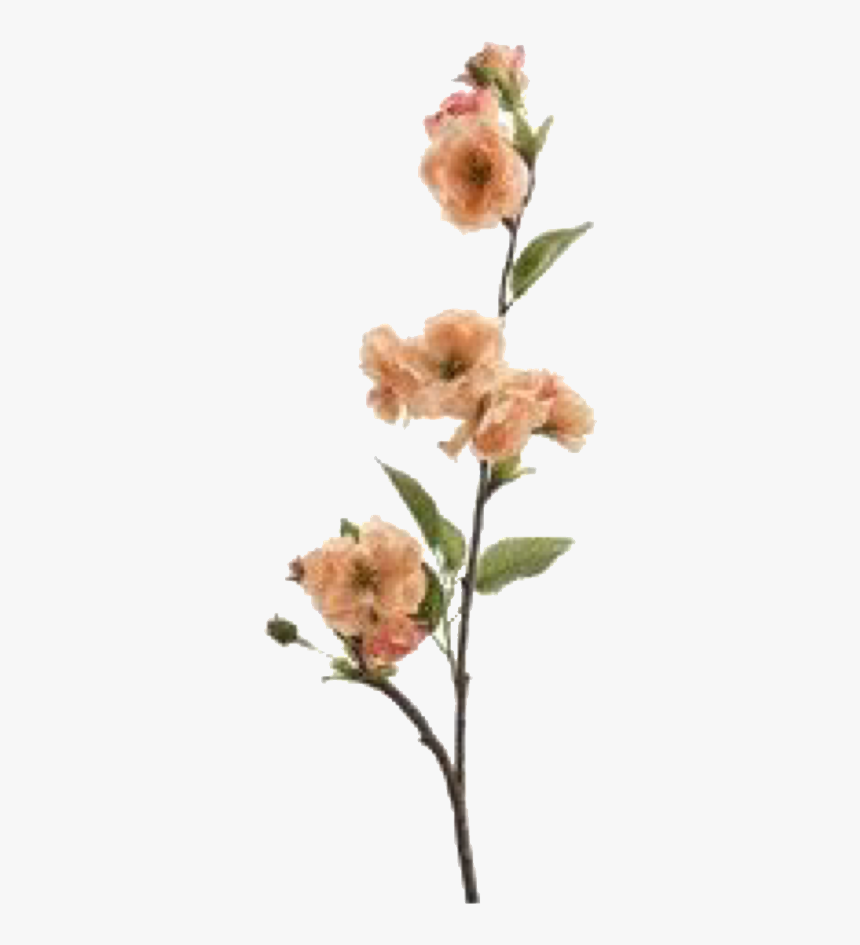 Artsy Png, Transparent Png