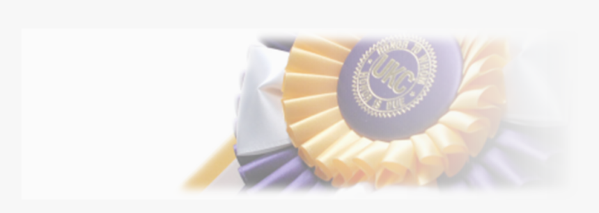 Flat Ribbon Png, Transparent Png