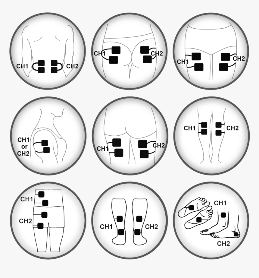 Montage Png, Transparent Png