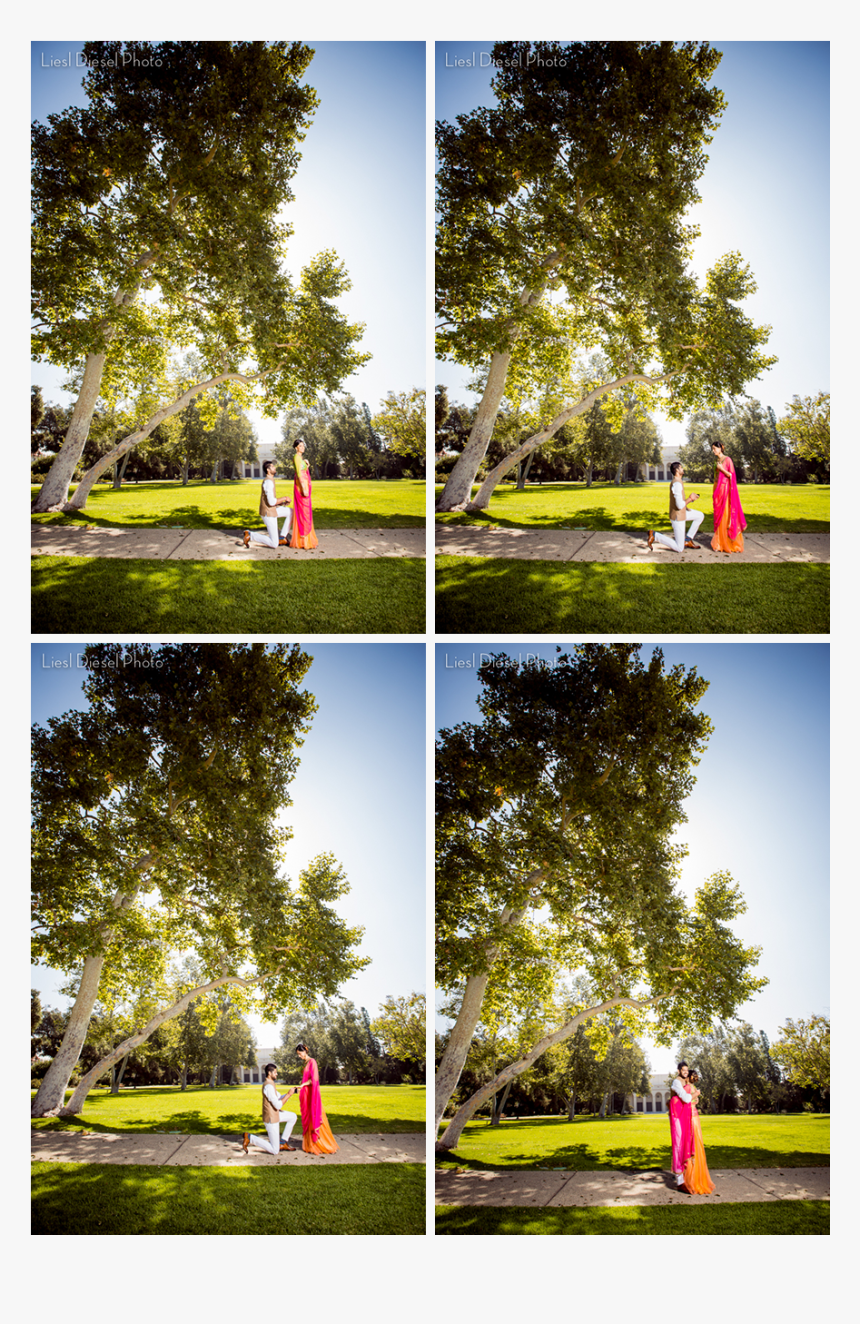 Liesl Diesel Photo Surprise Proposal Engagement Session, HD Png Download