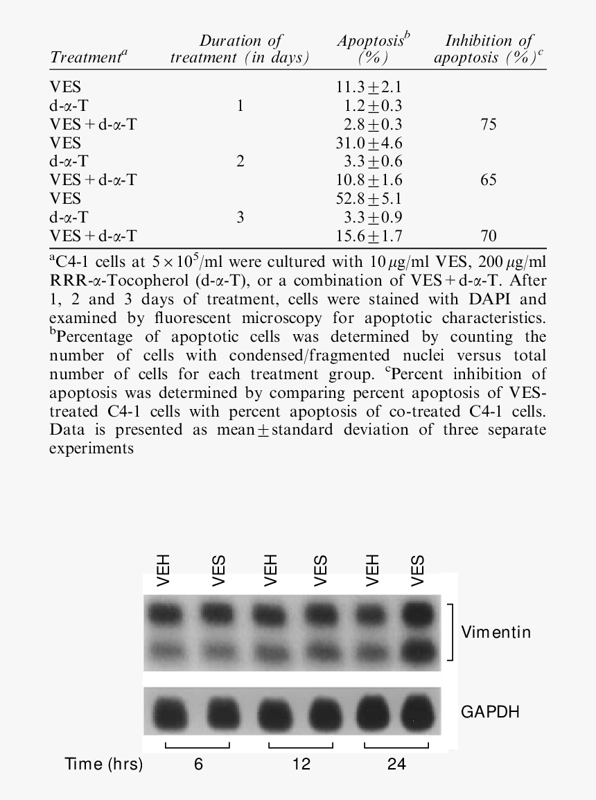 C4 Png, Transparent Png