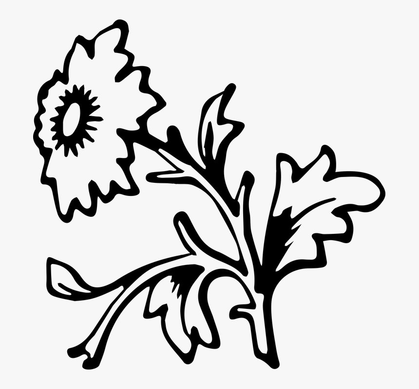 Simple, Flower, Floral, Flora, Lineart, Line Art, Bloom, HD Png Download