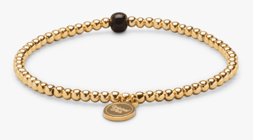 Palmwood Gold Womens Charm Bracelet 3mm, HD Png Download