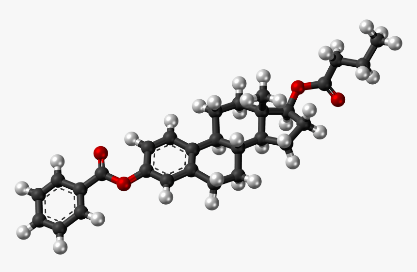 Estradiol Benzoate Butyrate Molecule Ball, HD Png Download