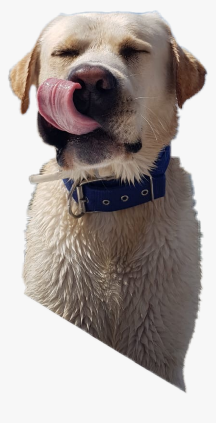 The Newest Tongueout Stickers On Picsart Png Stickers, Transparent Png