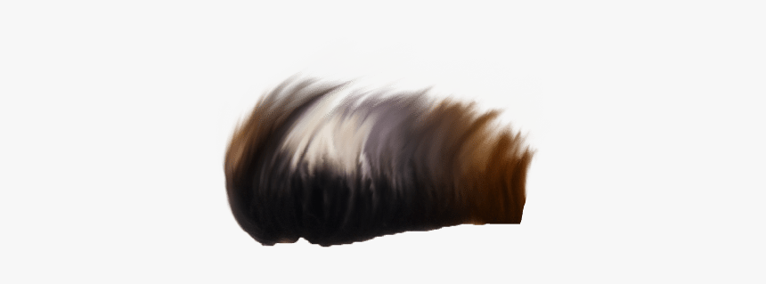 Cb Edit Hair Png, Transparent Png