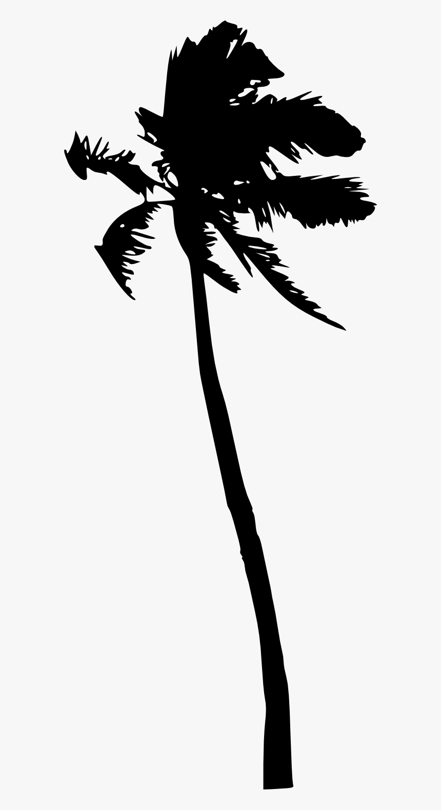 Palm Trees Portable Network Graphics Silhouette Clip, HD Png Download