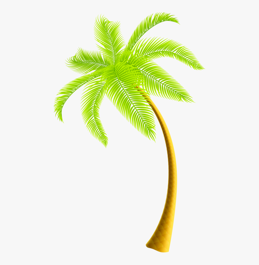Coconut Tree Png Download, Transparent Png