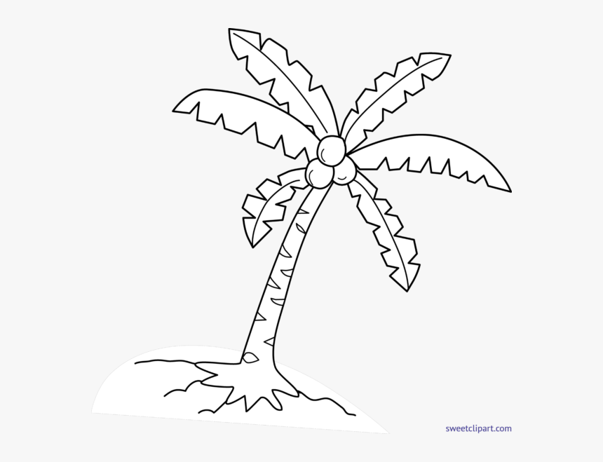 Coconut Palm Lineart, HD Png Download