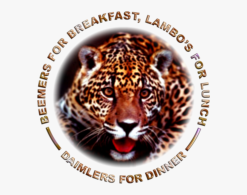 1516402312 Jaguar-600x600, HD Png Download