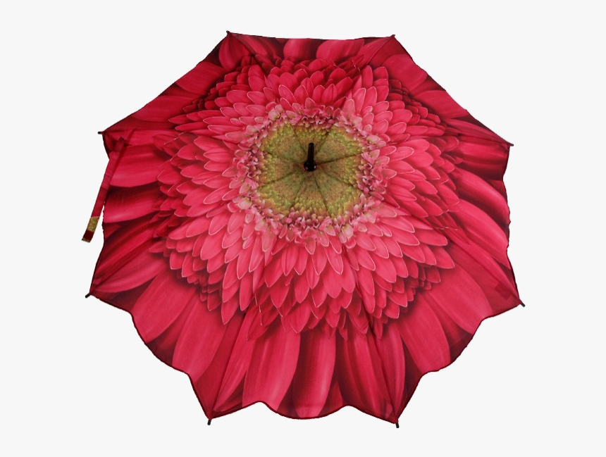 Gerbera Daisy Pink Folding Umbrella , Png Download, Transparent Png