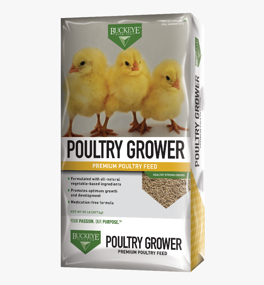 Chicks Png, Transparent Png