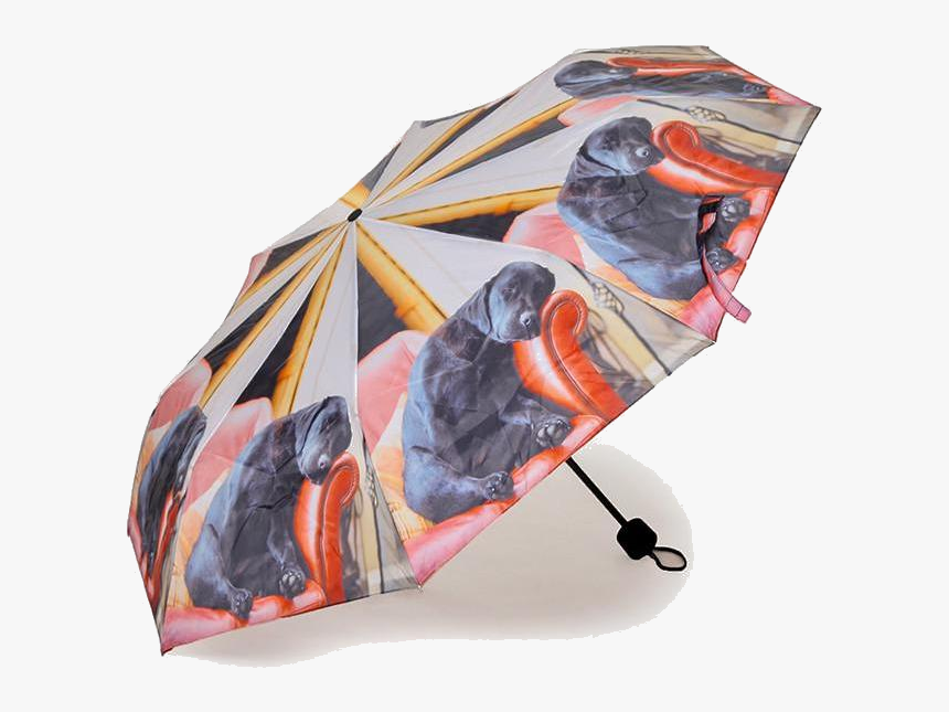 Folding Umbrella Png, Transparent Png