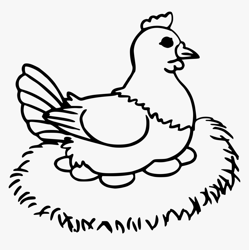 Collection Of Free Chick Drawing Hen Download On Ui, HD Png Download