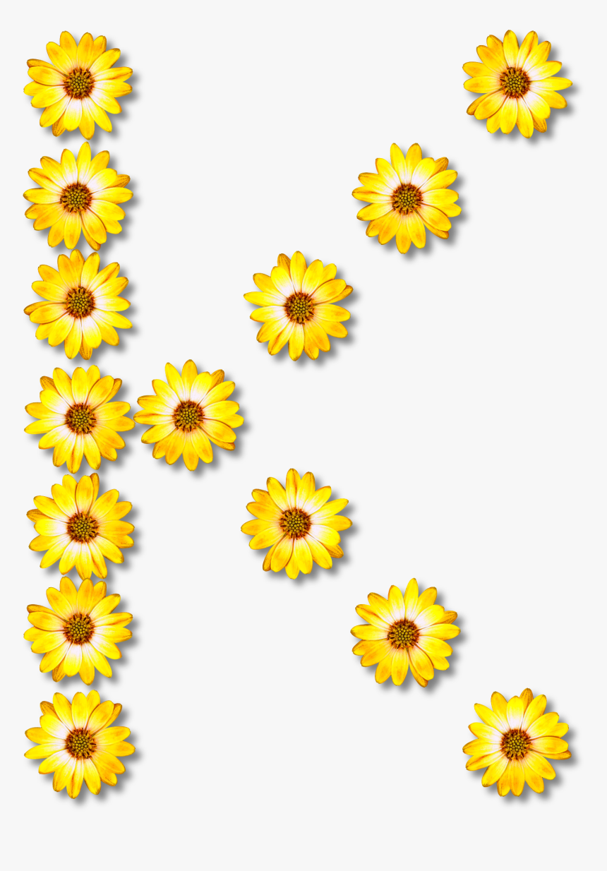 Flower Clipart Alphabet K, HD Png Download