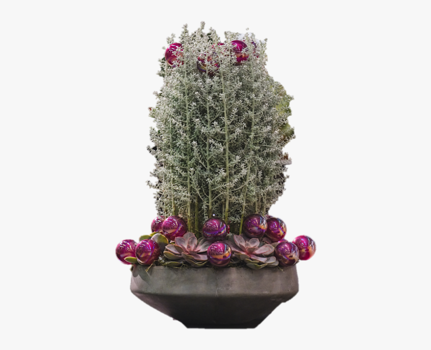 Winter Wonderland, HD Png Download