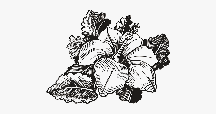 Flower Top View Png, Transparent Png