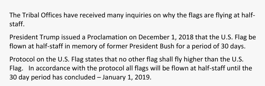 Flying Indian Flag Png, Transparent Png