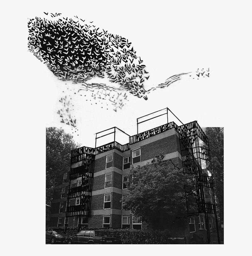 Ccf10082009, HD Png Download