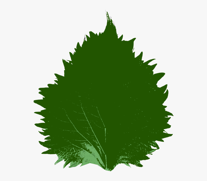 Wolverine Clipart 3d Png, Transparent Png