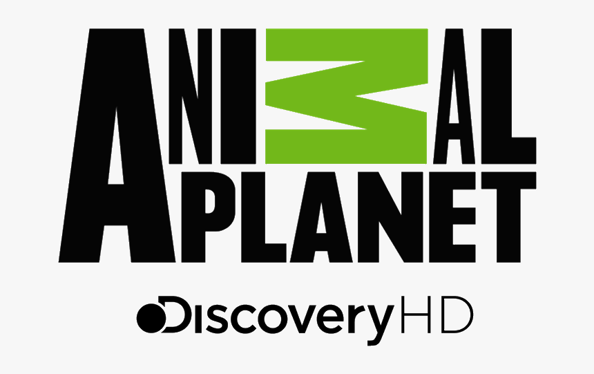 Animal Planet Hd Latinoamerica Logos De Aire Cable, HD Png Download