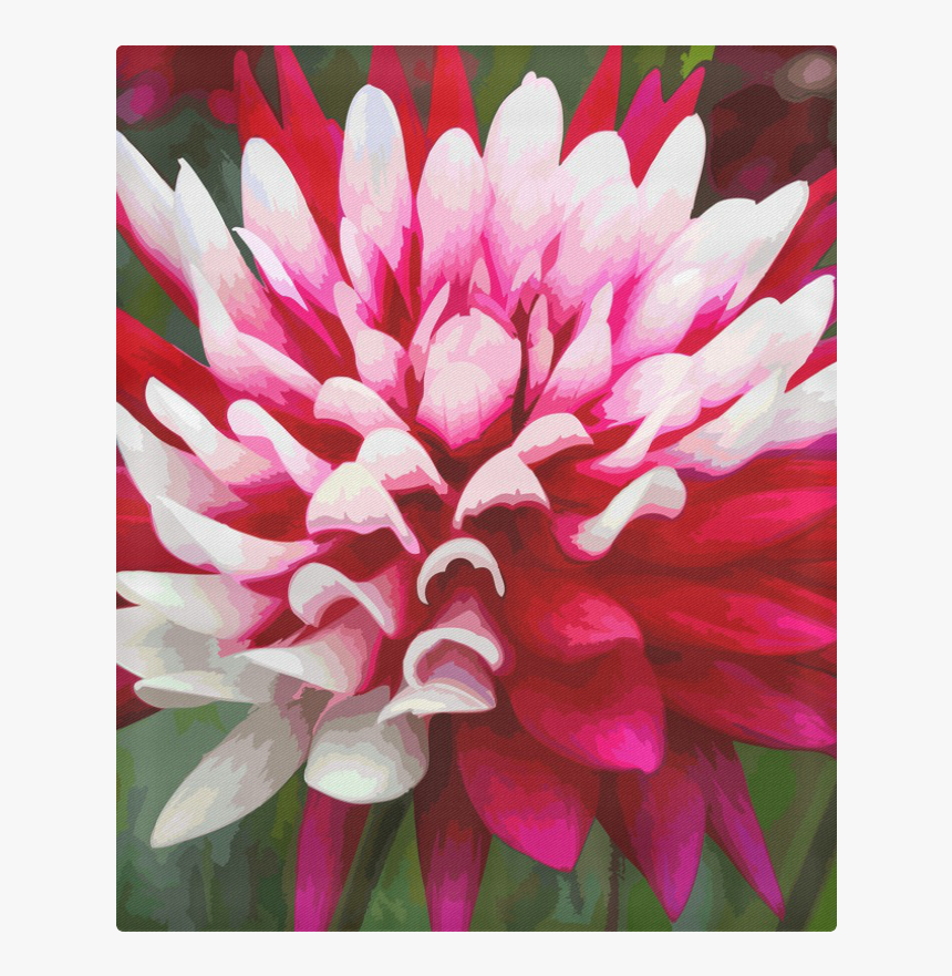 Dahlia Flower Png, Transparent Png