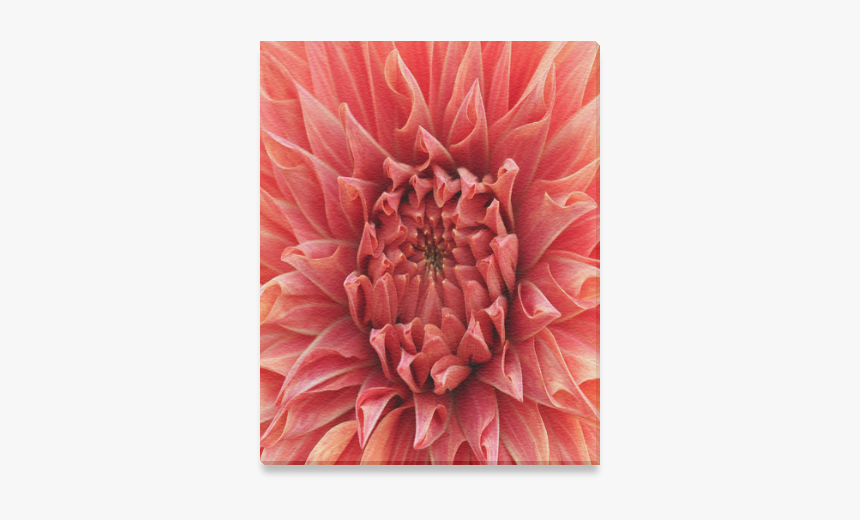 Bright Red Dahlia Flower Canvas Print 8 X10, HD Png Download