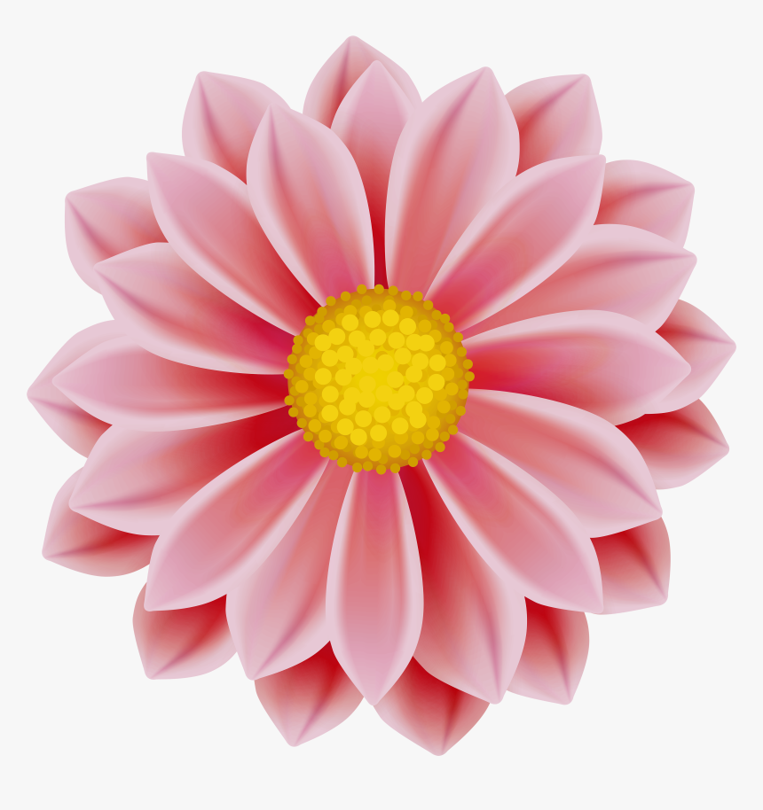 Dahlia Flower Clipart, HD Png Download