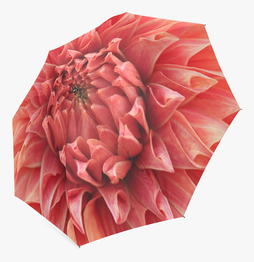 Bright Red Dahlia Flower Foldable Umbrella, HD Png Download