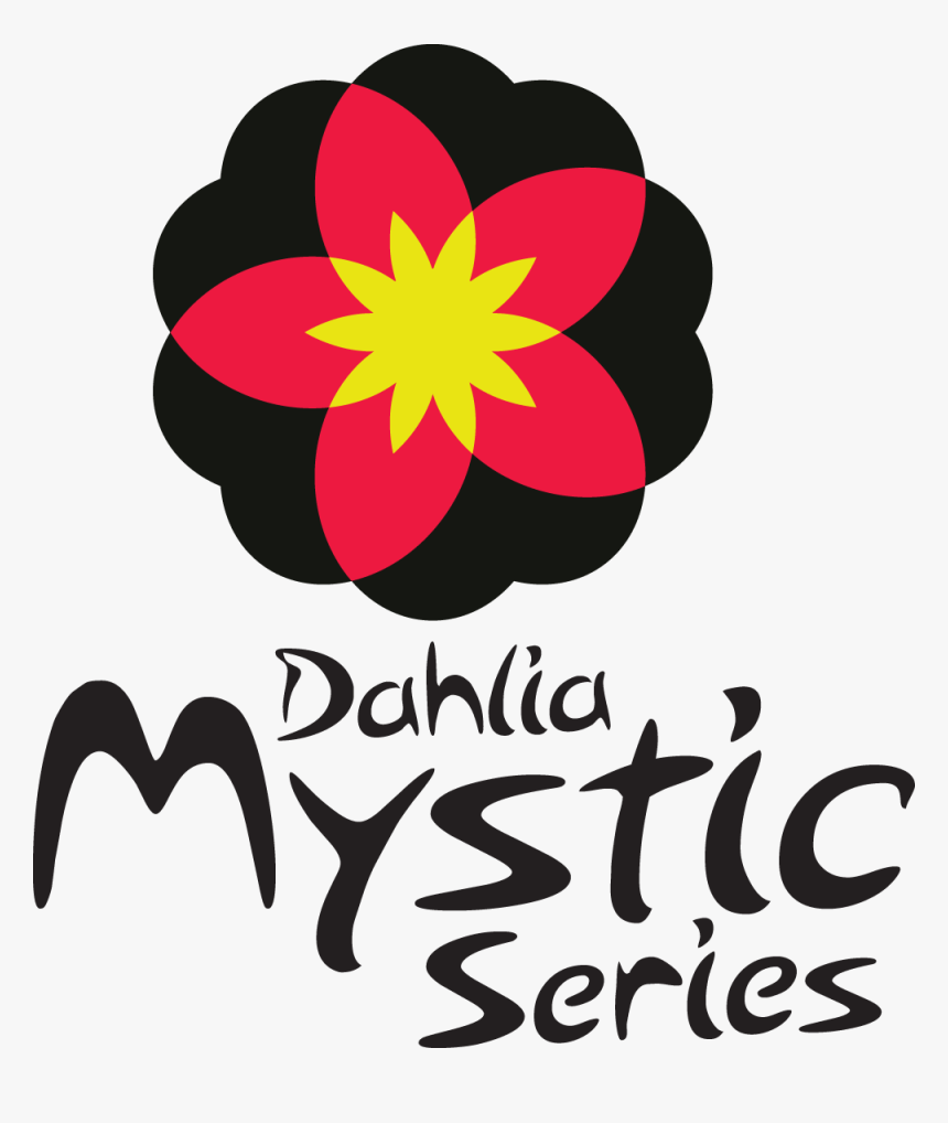 Image Of Dahlia Mystic Illusion, HD Png Download