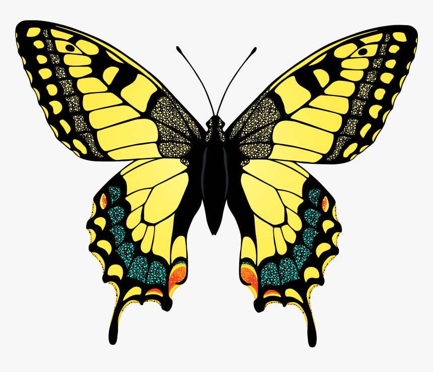 Yellow Butterfly Photo, HD Png Download
