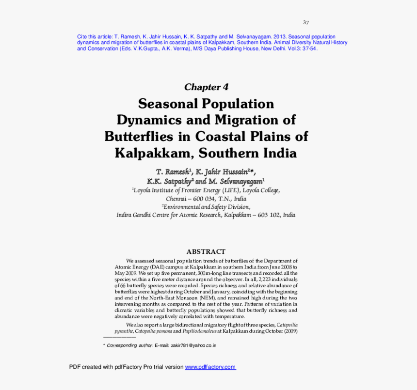 Butterflies Swarm Png, Transparent Png