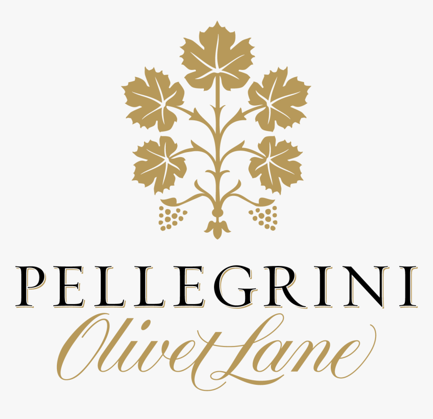 Design .png, Transparent Png