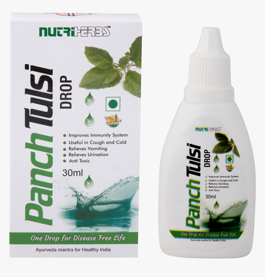 Tulsi Tree Png, Transparent Png