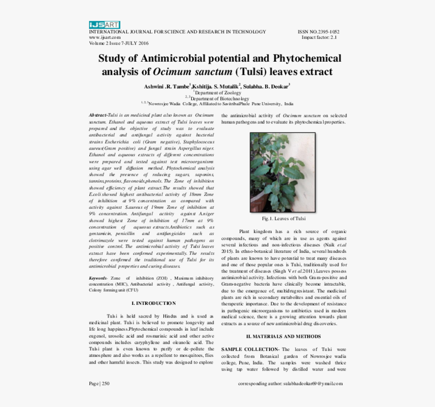 Tulsi Tree Png, Transparent Png