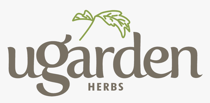 Tulsi Tree Png, Transparent Png