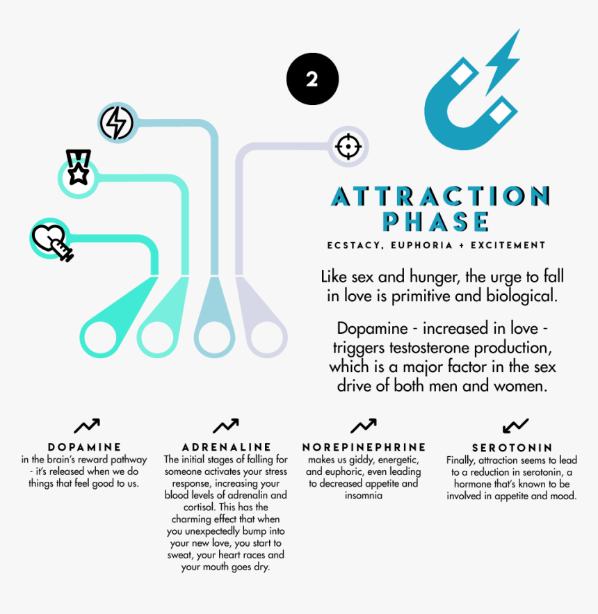 Love Png Text Effects, Transparent Png