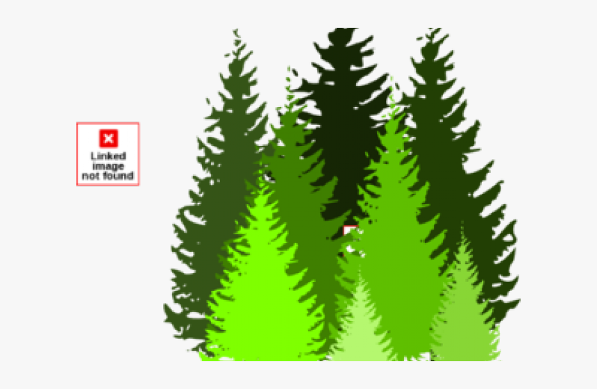 Cemara Png, Transparent Png