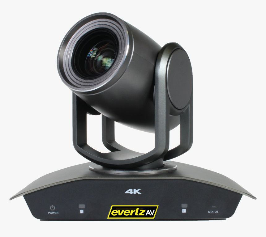 Cemara Png, Transparent Png