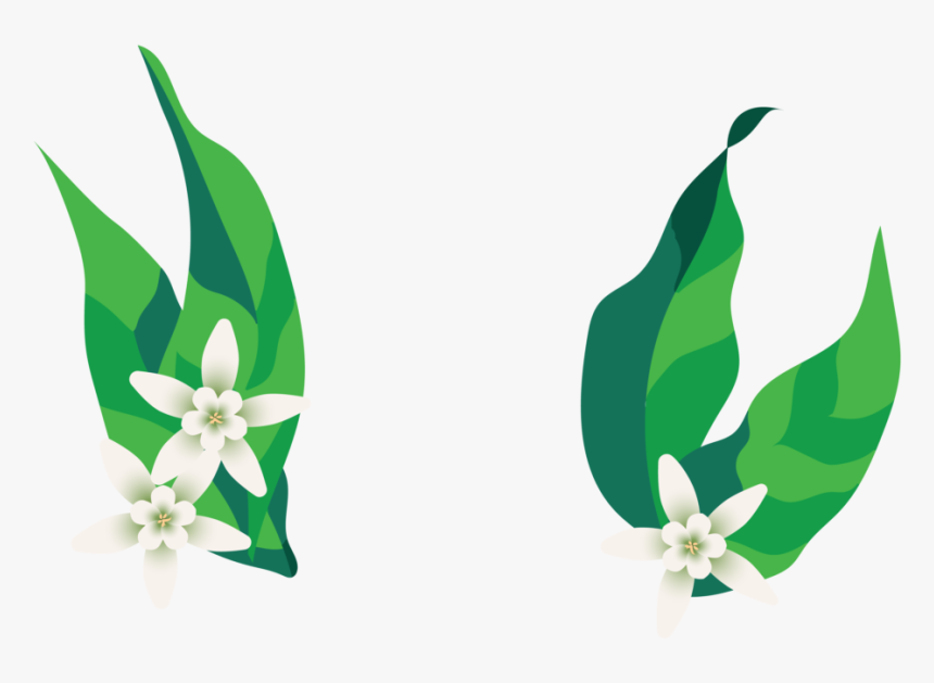 Art Png Images, Transparent Png