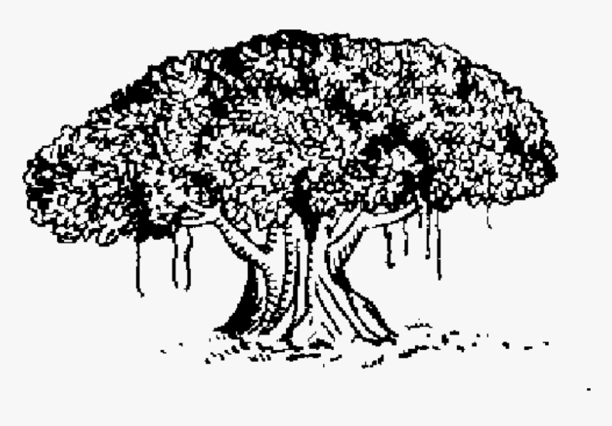 File Tree Png Wikimedia, Transparent Png