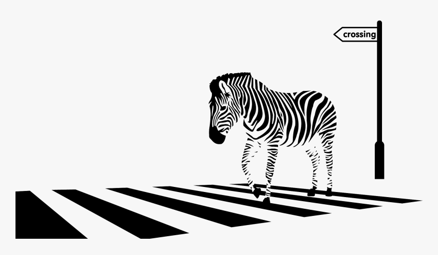 Zebra Border Png, Transparent Png