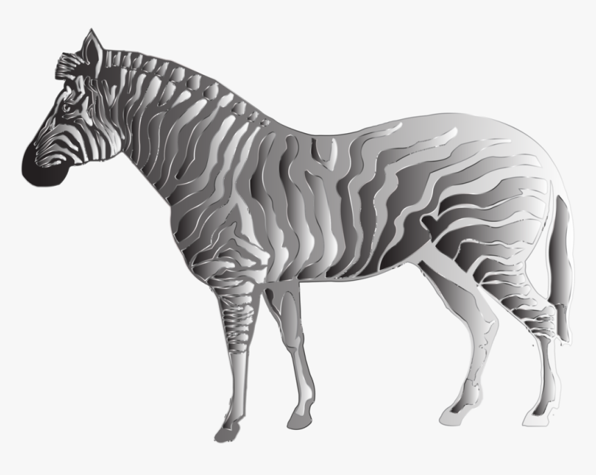 Zebra Png Images, Transparent Png