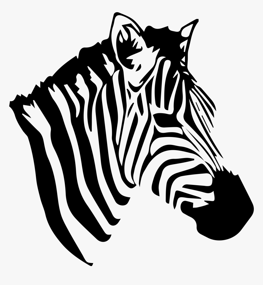 Zebra Png Images, Transparent Png