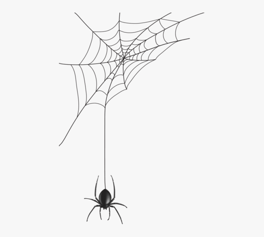 Transparent Spider, HD Png Download