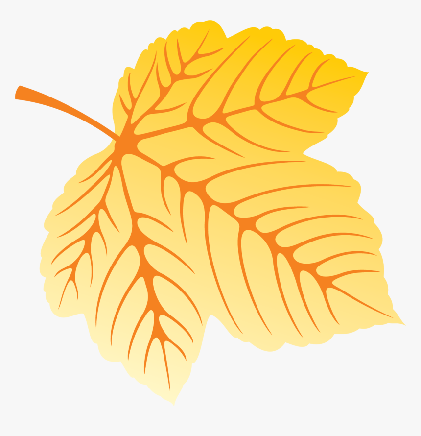Yellow Leaf Png, Transparent Png